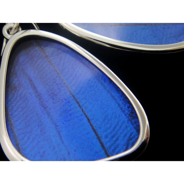 Butterfly Wing Earrings - Blue Morpho